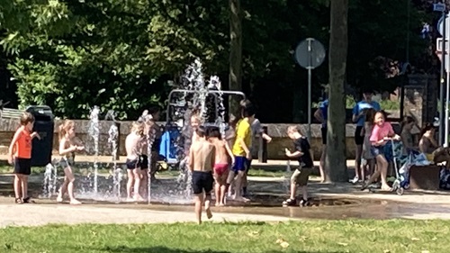 20240626 Zomerse taferelen Foto