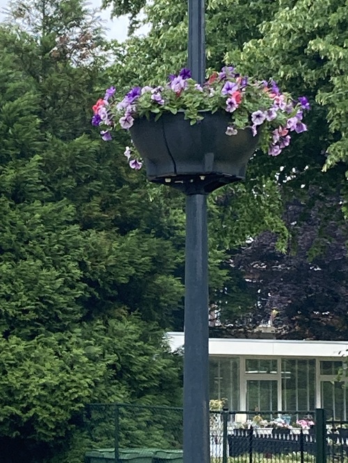 20250524 Regen als zegen