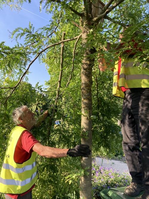 20250612 Chirurgische ingreep