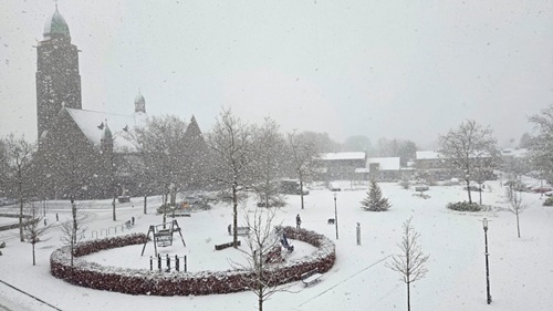 20260104 WITTE WONDERWERELD IN HET WILLEM ALEXANDERPARK